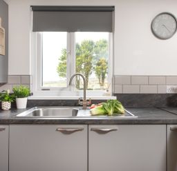 A kitchen sink with vegetables on the countertop and plants near the window at Wheal Prosper Lodge in Wendron near Helston