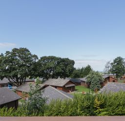 A group of wooden lodges with pitched roofs surrounded by trees and greenery at Premier Lodge 41 in Dyserth