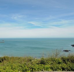 A coastal view with bushes in the foreground blue sea and sky at Lodge 65 at Riviera Bay Coastal Retreat in Brixham