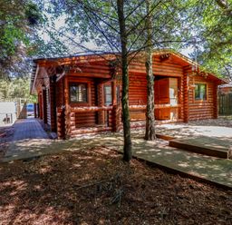 A wooden log cabin surrounded by trees with a paved pathway and wooden deck at Starwood in Felton
