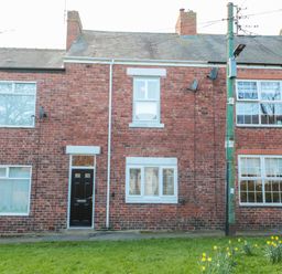 A row of brick terraced houses with windows and doors with a grass lawn and yellow flowers in front at Sunflowers in Earsdon near Whitley Bay