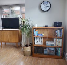 A corner of a room with a wooden cabinet holding a television next to a potted plant and a bookshelf with books and a clock on the wall at 8 Biddlecombe Orchard in Bridport