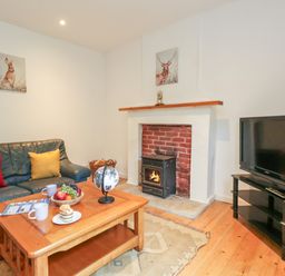 A living room with a blue leather sofa with red and yellow cushions a wooden coffee table with fruit and cups a globe a fireplace with a fire and a television on a stand at Coldharbour Farm Bungalow Annexe Coldharbour near Wareham