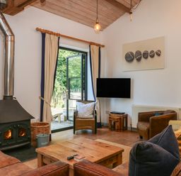 A living room with a stove and television at Burrows in Venn Ottery near Sidmouth