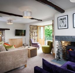 A sitting room with sofas a fireplace and wall art at The Cosy Peacock in Troutbeck