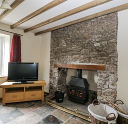 A living room with a television and a fireplace at Woods Cottage in Kingcoed near Raglan