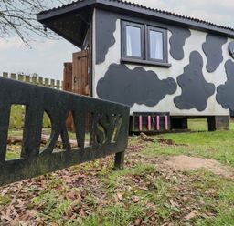 An outdoor structure painted like a cow with a wooden door and windows near a sign that says DAISY at Daisy Cow Shed 1 Easton near Campsea Ashe