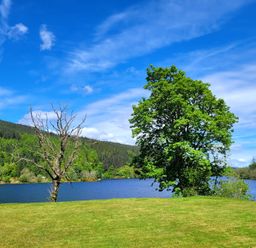 A landscape featuring a lake, trees, and mountains at Lodge 2 - Inglewood Lodge Spean Bridge