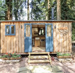 A wooden cabin with steps and planters at Tanglewood Shepherds Hut in Welshpool