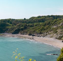 A beach with cliffs and trees at Lodge 69 at Riviera Bay Coastal Retreat Brixham