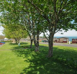 Trees on a grassy area with picnic benches near parked cars and mobile homes by the sea at Lodge 68 at Riviera Bay Coastal Retreat in Brixham