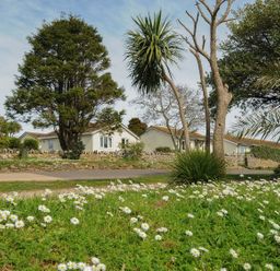 A garden with white flowers and trees in front of two small houses with stone walls and a road at Chalet 34 at Landscove Holiday Park in Brixham