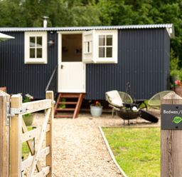 A small black cabin with white windows and door behind a wooden gate at Bedwen in Aberaeron