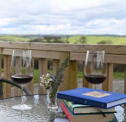 A glass table with two glasses of red wine a small vase with flowers and a stack of books on a wooden balcony with a countryside view at Cae Dafadd in New Mills near Llanfair Caereinion