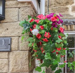A hanging basket with colorful flowers on the exterior wall of a stone building at The Old Ropemakers Cottage in Bridport