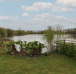 A lake surrounded by trees and bushes with a patch of grass and a wooden fence at Maple in Dolton