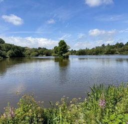 A lake surrounded by greenery at Pine in Dolton