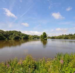A lake surrounded by trees and grass at Willow in Dolton