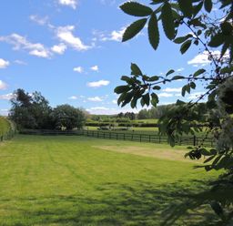 A green lawn with hedges and trees under a blue sky at Loanview in Cornhill-On-Tweed