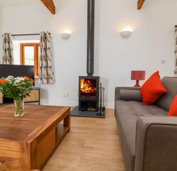 A living room with a wood stove fire a gray sofa with red cushions a wooden coffee table with flowers and a television at Woodland Roost in Parkham near Bideford