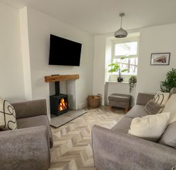 A living room with two gray sofas a fireplace with a wood-burning stove a wall-mounted TV and plants at 1 Mona Terrace in Llanfachraeth