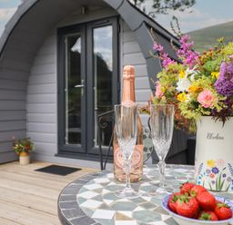 An outdoor area with drinks and flowers at Caban Tirion in Dinas Mawddwy near Dolgellau