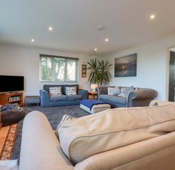 A living room with sofas a television a plant and a chest at Surf Break in Polzeath