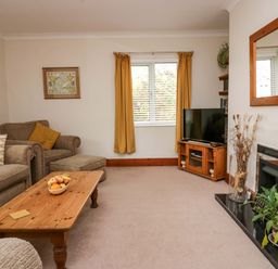 A living room with sofas a wooden coffee table a television a fireplace with plants and a window with curtains at Lyndhurst in Ambleside