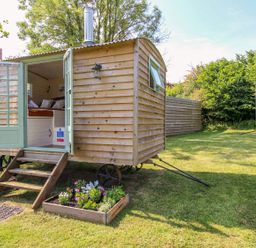 A wooden shepherds hut with open double doors and flower beds on a lawn at Acres Meadow in Maiden Newton