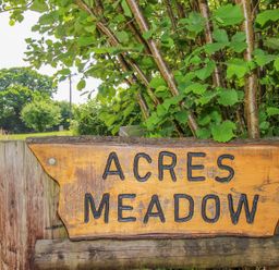 A wooden sign reading Acres Meadow on a post with trees and grass behind at Acres Meadow in Maiden Newton