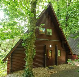 A wooden cabin with a triangular roof surrounded by trees at Lodge 32 - Cowslip Finlakes Holiday Park near Chudleigh