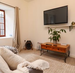 A living room with a wall-mounted TV a wooden table with plants remotes and tissues a window with curtains and a carpet on the floor at Hole in the Wall in Caernarfon