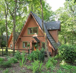A wooden house with a steep roof surrounded by trees and vegetation at Lodge Nine in Finlake Holiday Park near Chudleigh