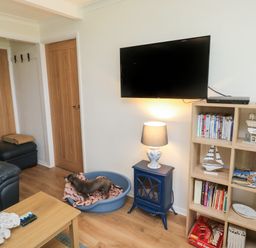 A living room with a black leather armchair a wooden coffee table a dog in a pet bed a wall-mounted TV a blue side table with lamp and a wooden shelving unit with books and decor at 61 Norton Park in Dartmouth