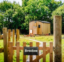 A wooden cabin at the end of a gravel path with a wooden gate and fence in a grassy area surrounded by trees at Bracken Broad Langdon near Wainhouse Corner