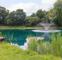 A pond with a water fountain surrounded by grass trees and bushes at Peacock Lodge in Swannington near Coalville