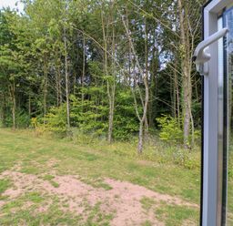 A view of trees and grassland seen through an open glass door at Peacock Lodge in Swannington near Coalville