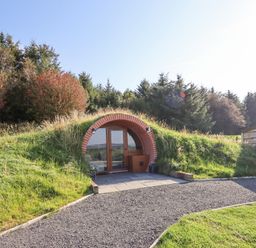An underground house entrance with glass doors and a brick arch surrounded by grass and trees at Cae Bach in Cyffylliog near Ruthin