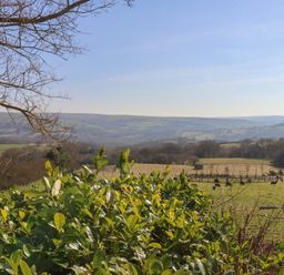 A rural landscape with green fields trees and hills in the background at Roding Cottage Egton