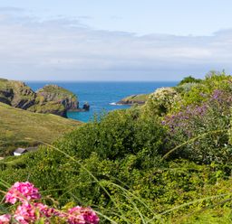 A coastal landscape with green hills bushes flowers and the sea at Verity Mullion