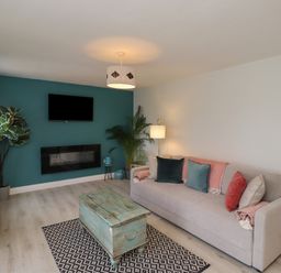A living room with a sofa cushions coffee table TV and plants at Villa Rose Beadnell near Seahouses
