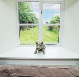 A window with a ceramic pig on the windowsill and a couch below at Ixworth Cottage in Little Woodford near Ottery St Mary