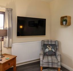 A corner of a room with a wall-mounted TV a wooden side table with a lamp a plaid armchair with a bird cushion and two wall shelves with a plant and books at Cowslip in Saltburn-By-The-Sea