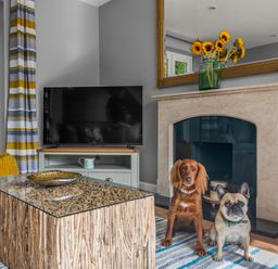 A living room with a television a fireplace and two dogs at Seascape in Kingsand