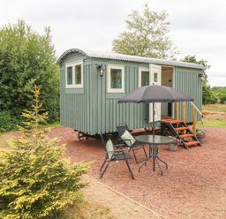 A small green wooden cabin on wheels with outdoor furniture and an umbrella at Cuckoo's Nest in South Molton