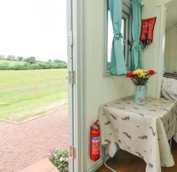 A small table with a floral jug of flowers next to a window and fire extinguisher inside a room at Cuckoo's Nest in South Molton