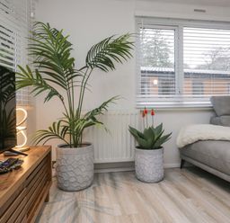 A living room with a television and plants at Cosy Corner White Cross Bay near Troutbeck Bridge