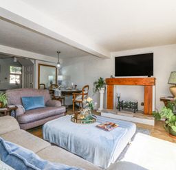 A living room with sofas a coffee table a fireplace a television and plants at Holly Cottage in Llechwedd near Conwy
