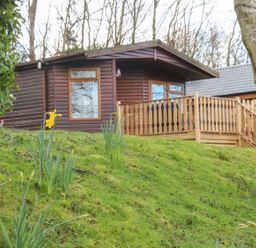 A wooden cabin with a porch on a grassy slope with daffodils and trees at Park View Lodge Arnside 7 South Lakeland Leisure Village near Carnforth