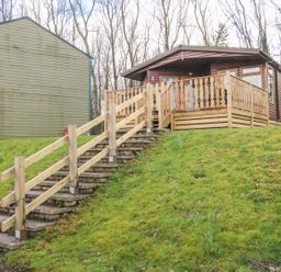 Stone stairs with wooden handrails leading up to a wooden cabin with a deck surrounded by grass and trees at Park View Lodge Arnside 7 South Lakeland Leisure Village near Carnforth